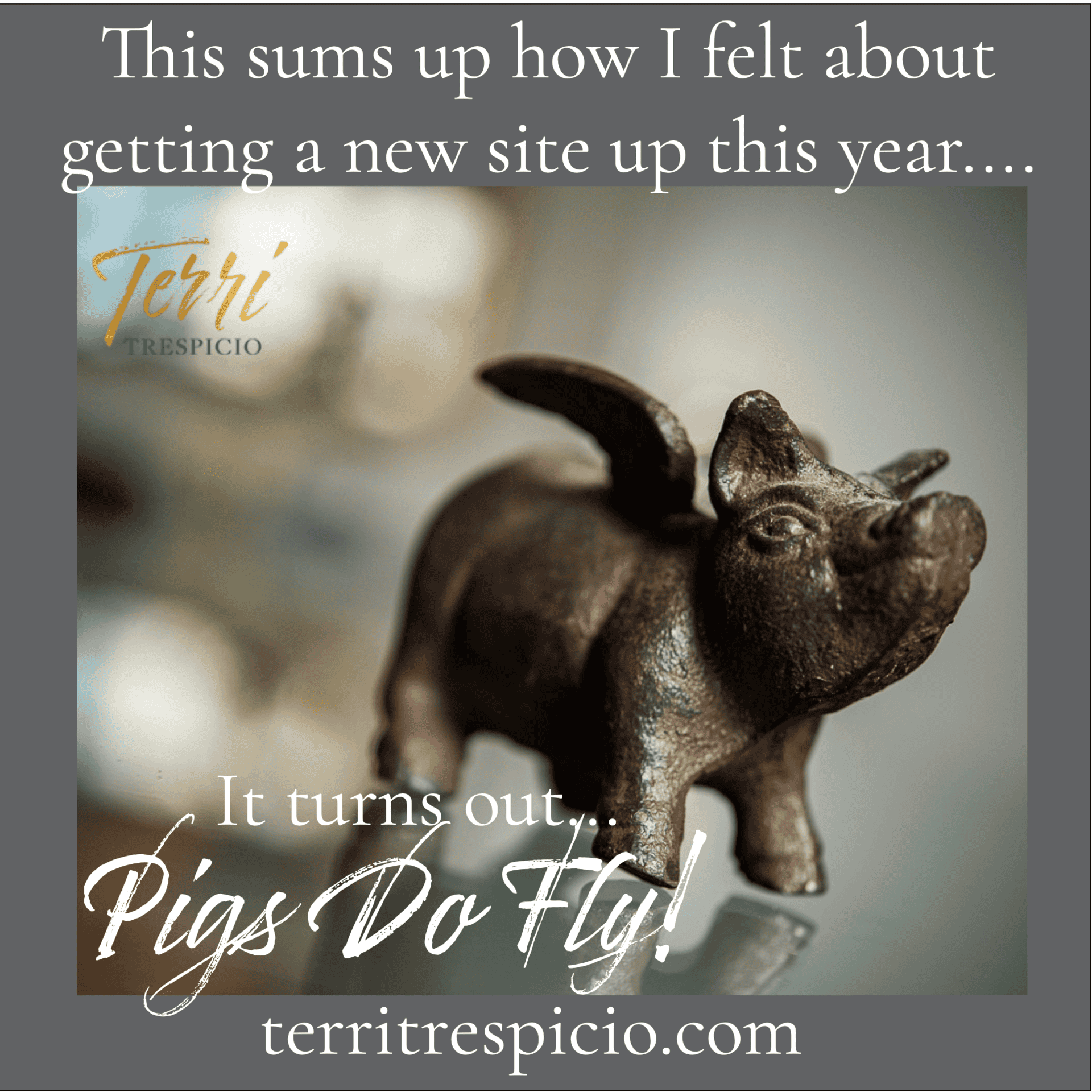 Tale of a website launch in 10 lines